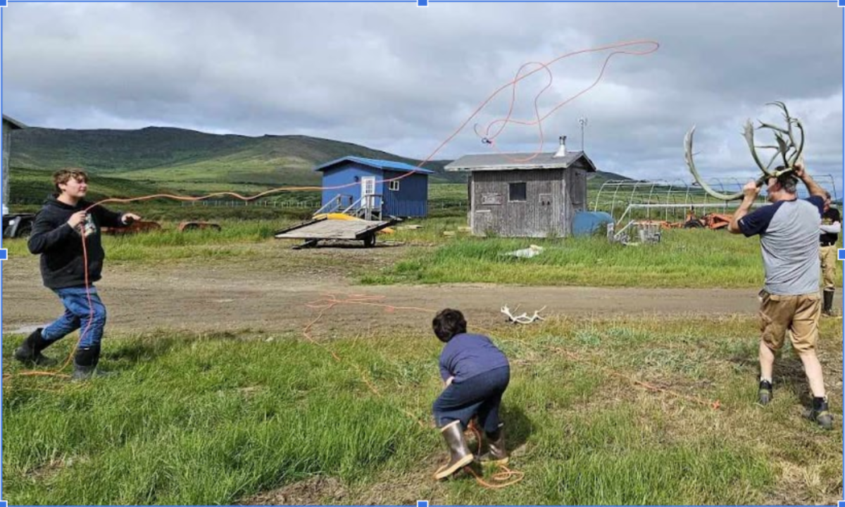 See caption below image for description