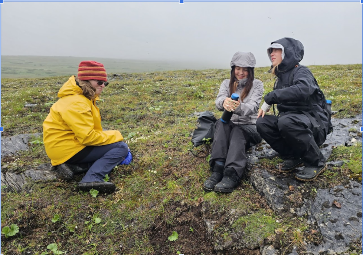 See caption below image for description