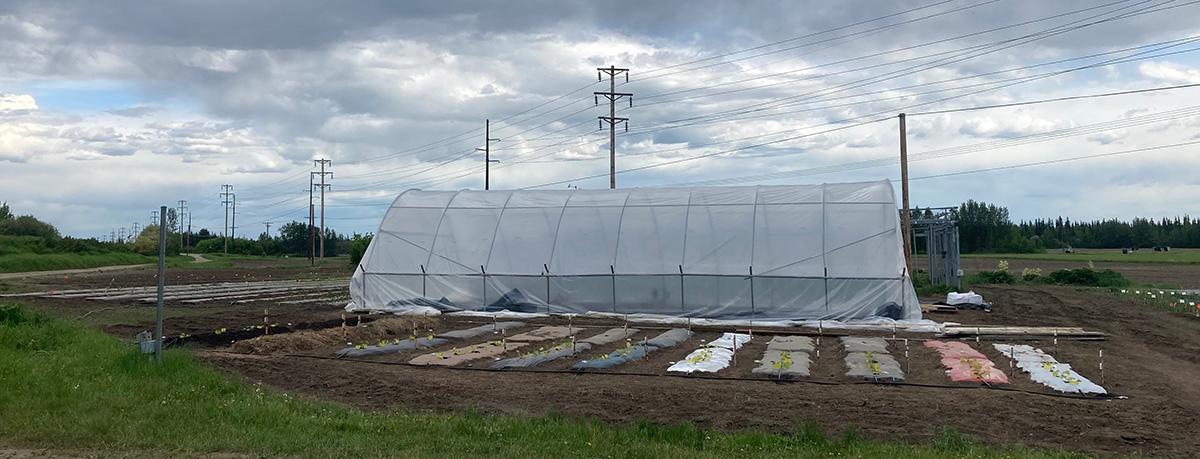 See caption below image for description