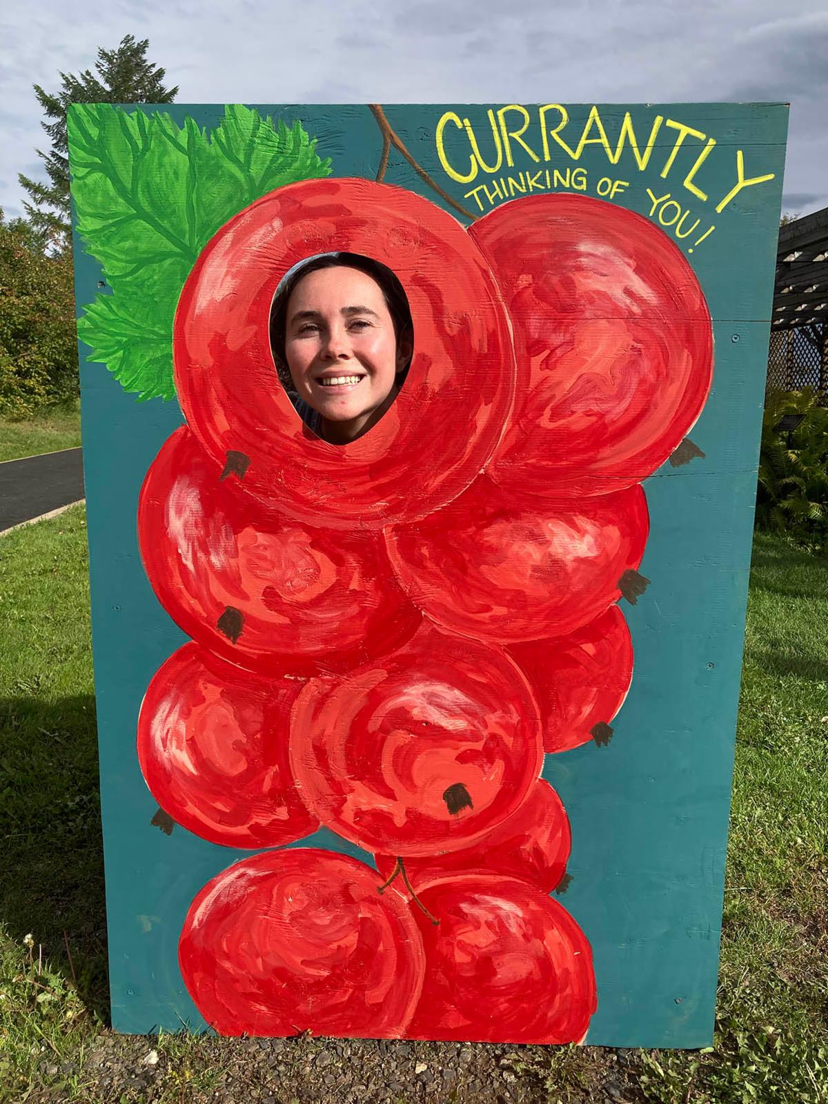 See caption below image for description