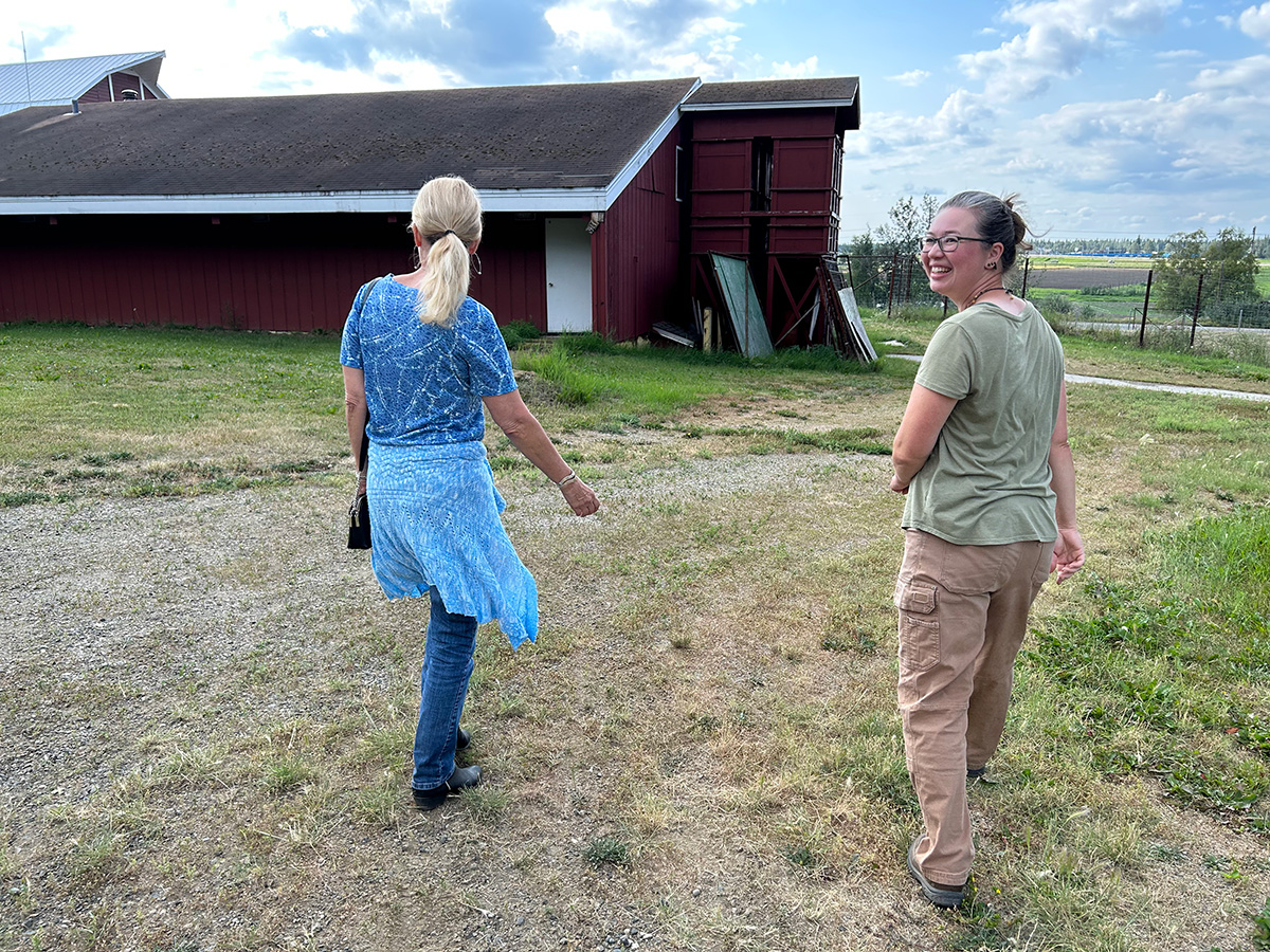 See caption below image for description