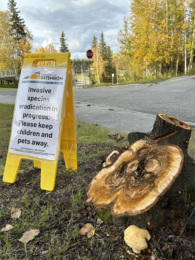 See caption below image for description