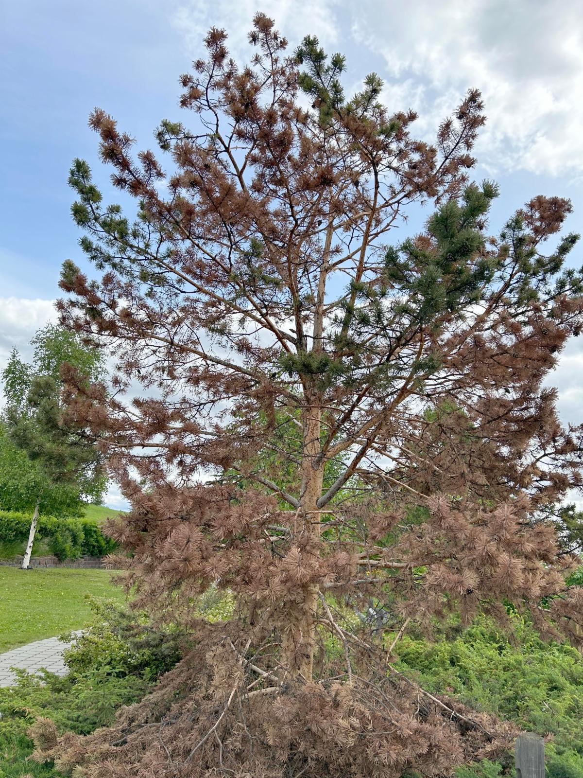 Left image. See caption below image for description