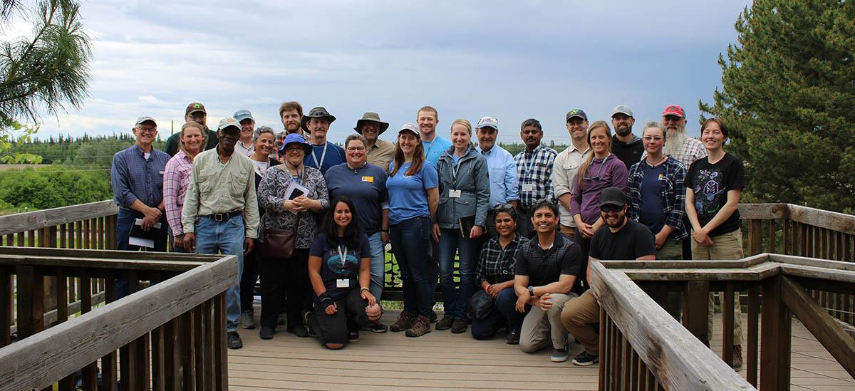 Top image. See caption below image for description