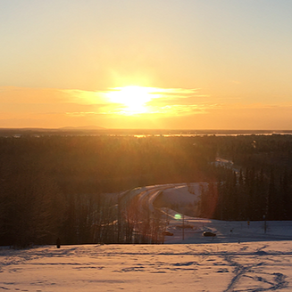 Georgeson Botanical Garden