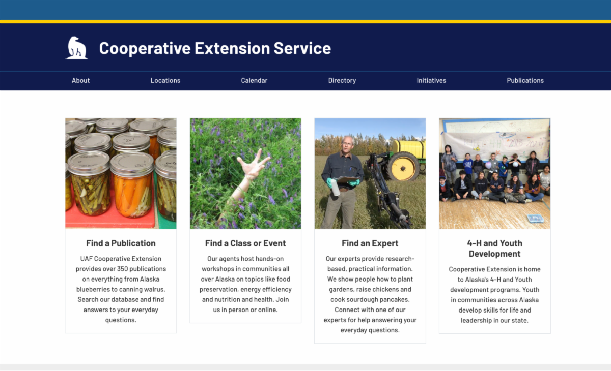 CES Website homepage