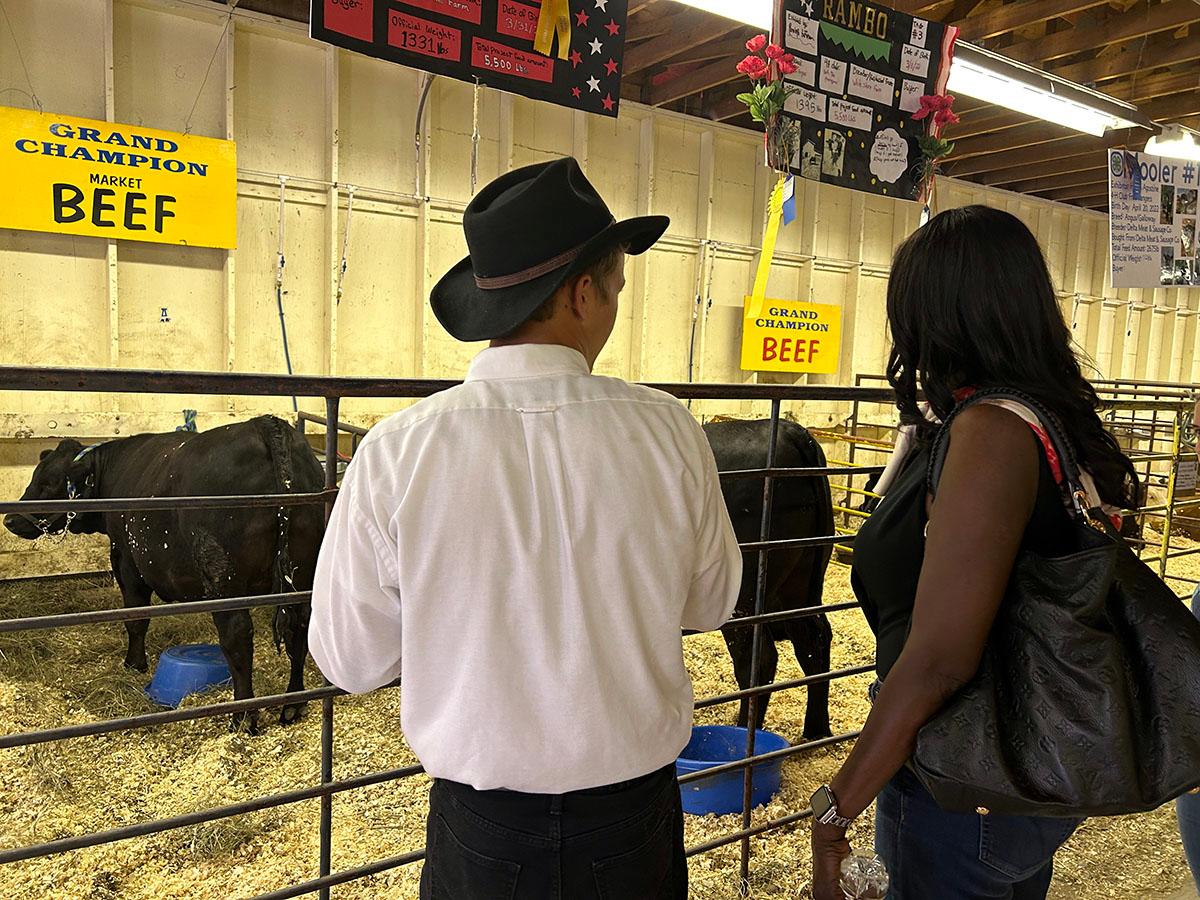 Bottom right image. See caption below image for description