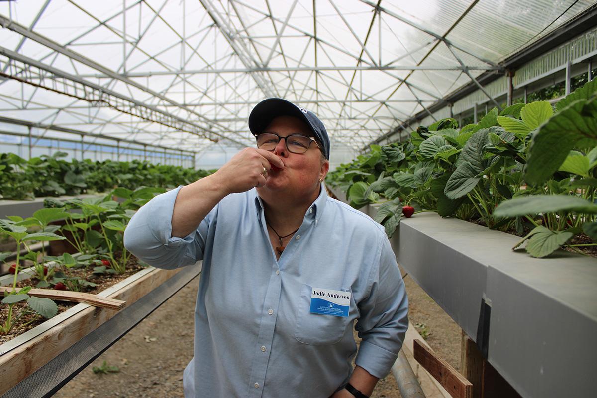 Bottom right image. See caption below image for description