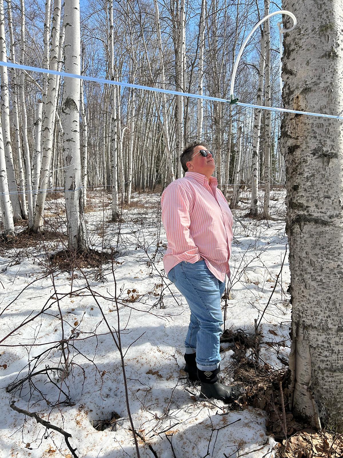 See caption below image for description