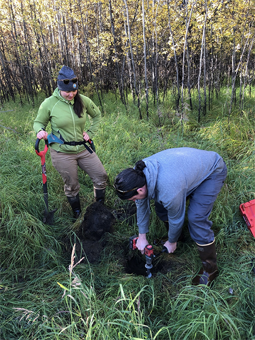 See caption below image for description