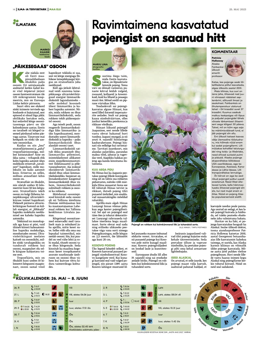 Peonies in Estonian