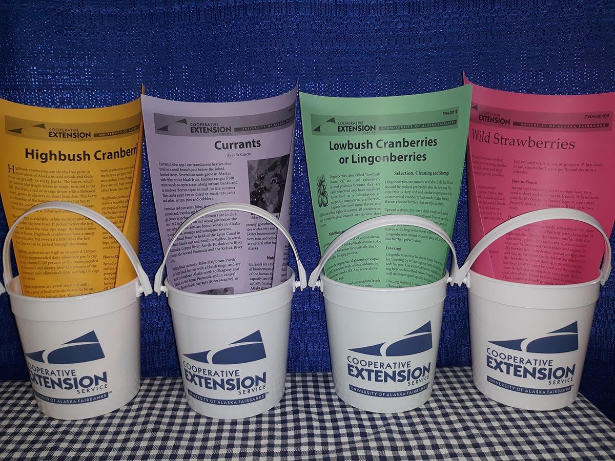Four buckets holding colorful berry publications