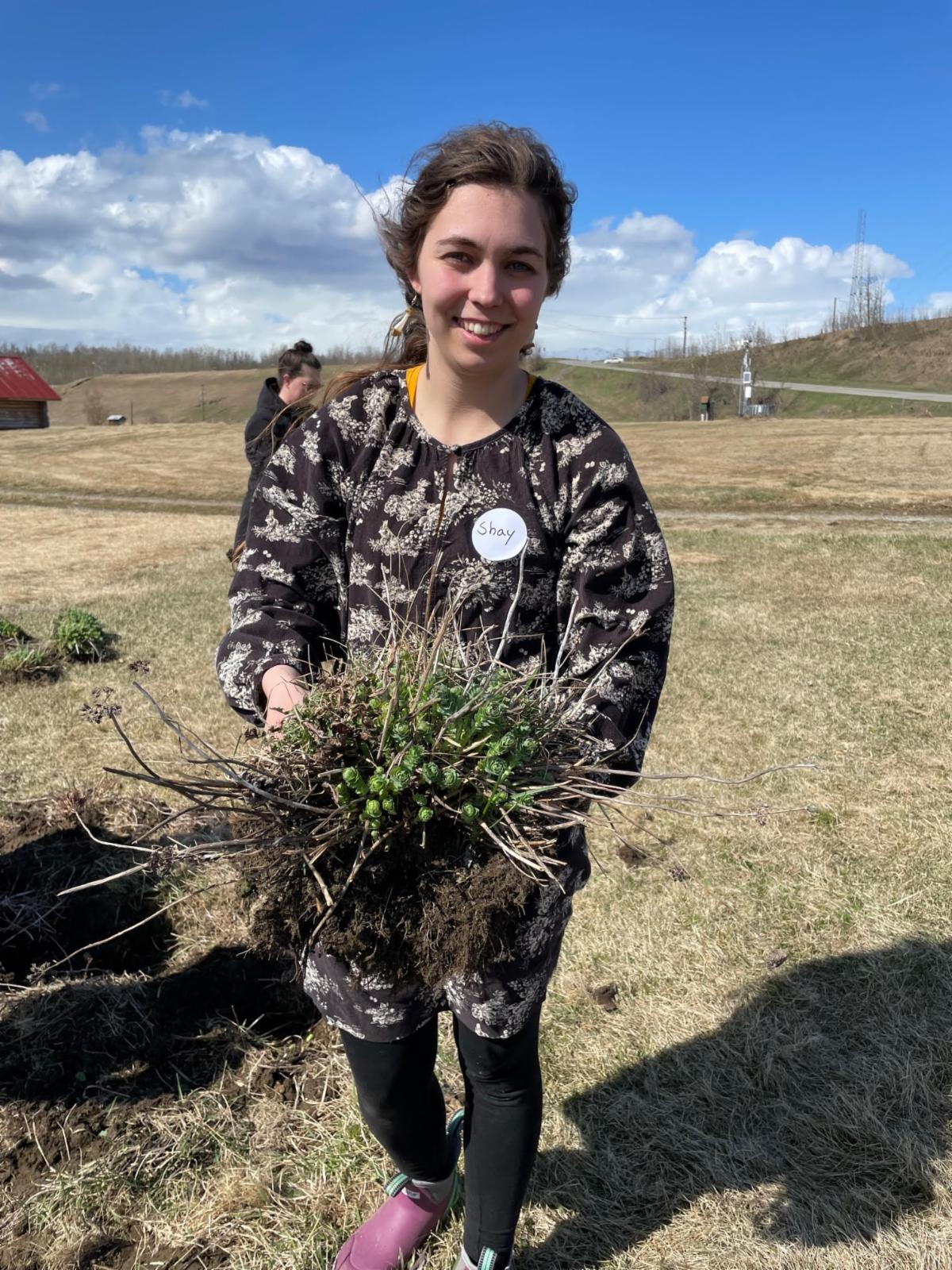 See caption below image for description