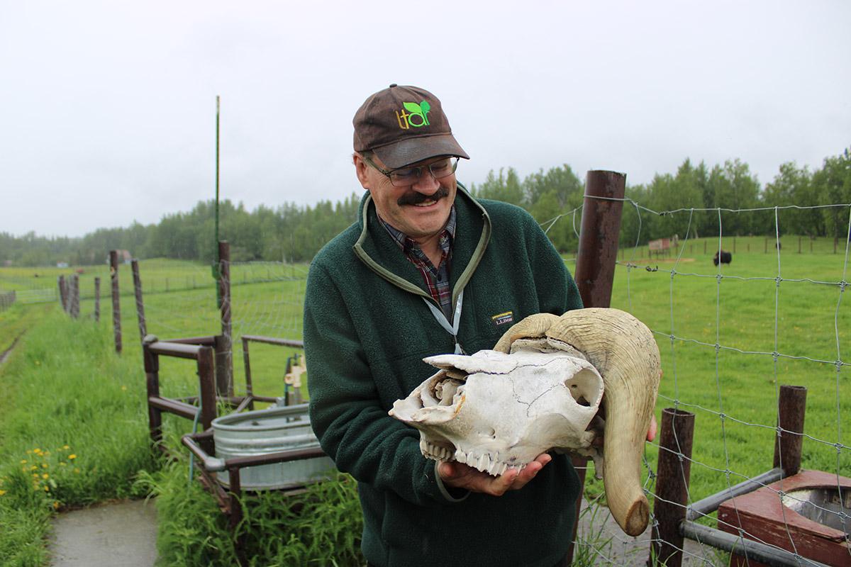 Bottom left image. See caption below image for description