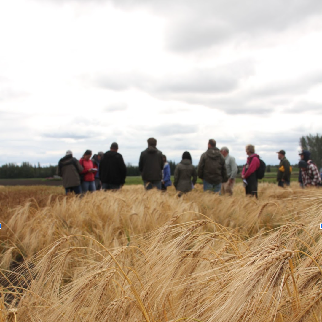People standing in a field