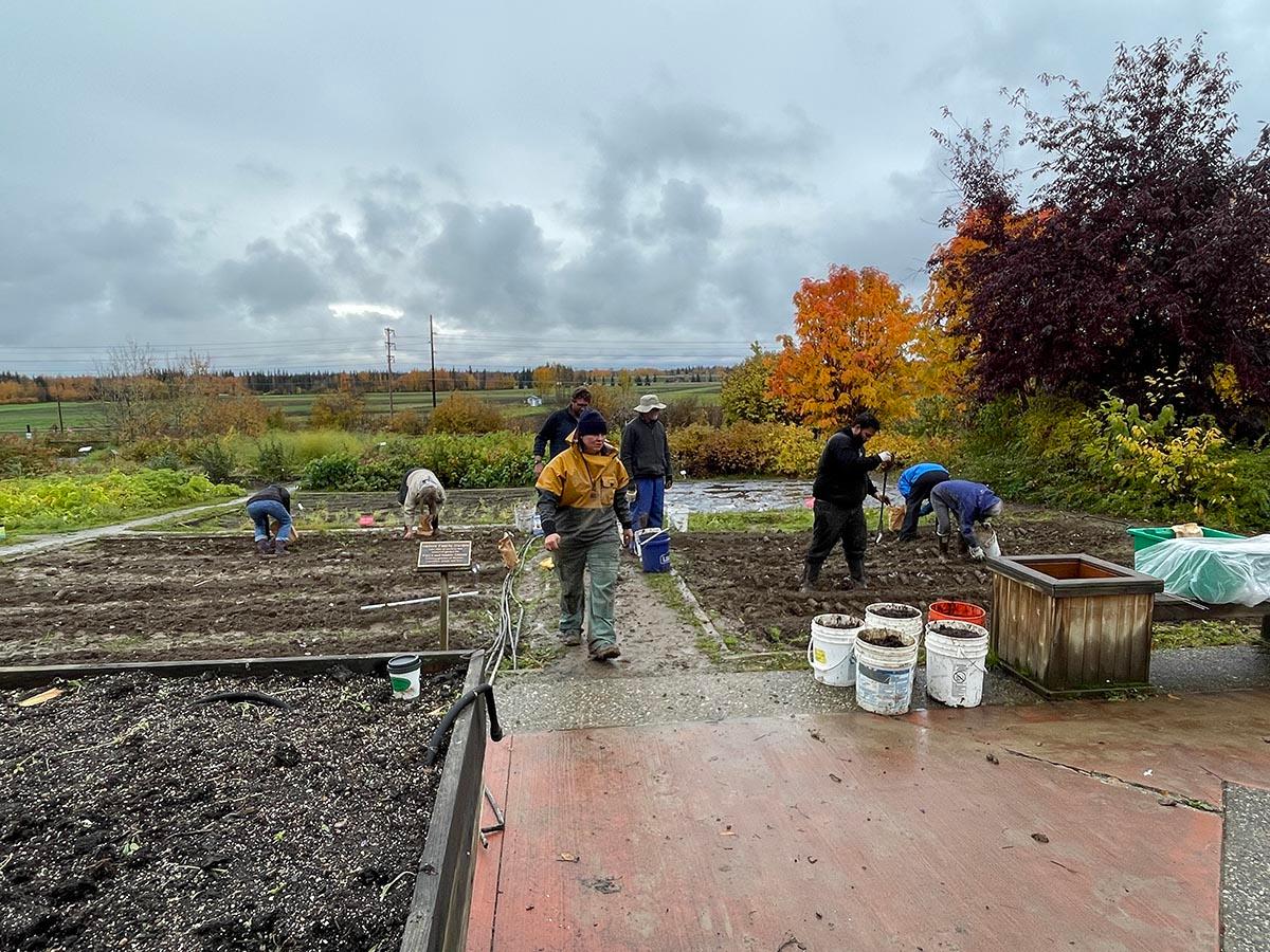 Group of people gardening