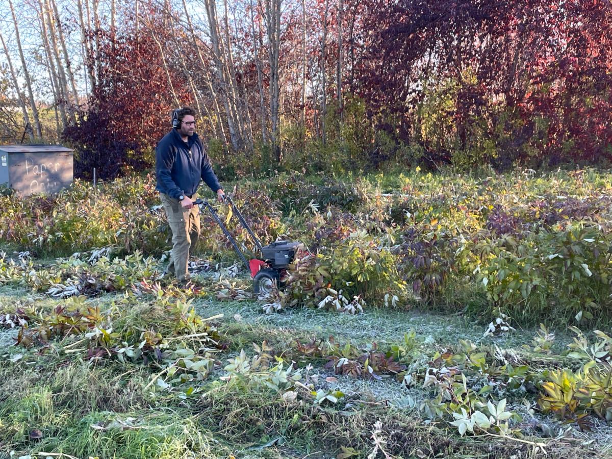 Georgeson Botanical Garden