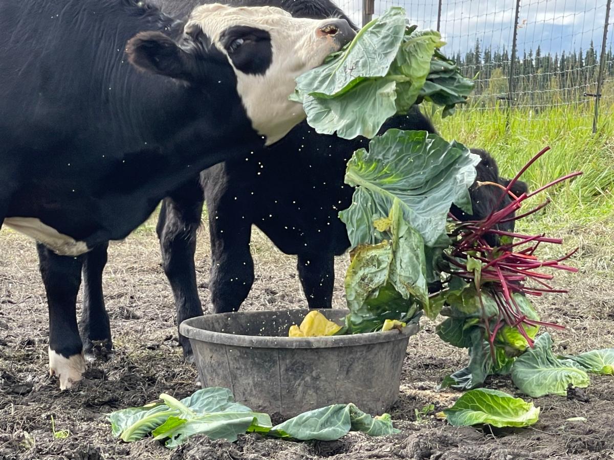 See caption below image for description