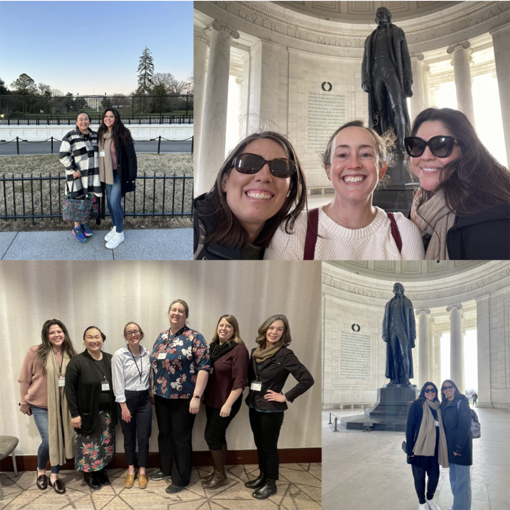 See caption below image for description