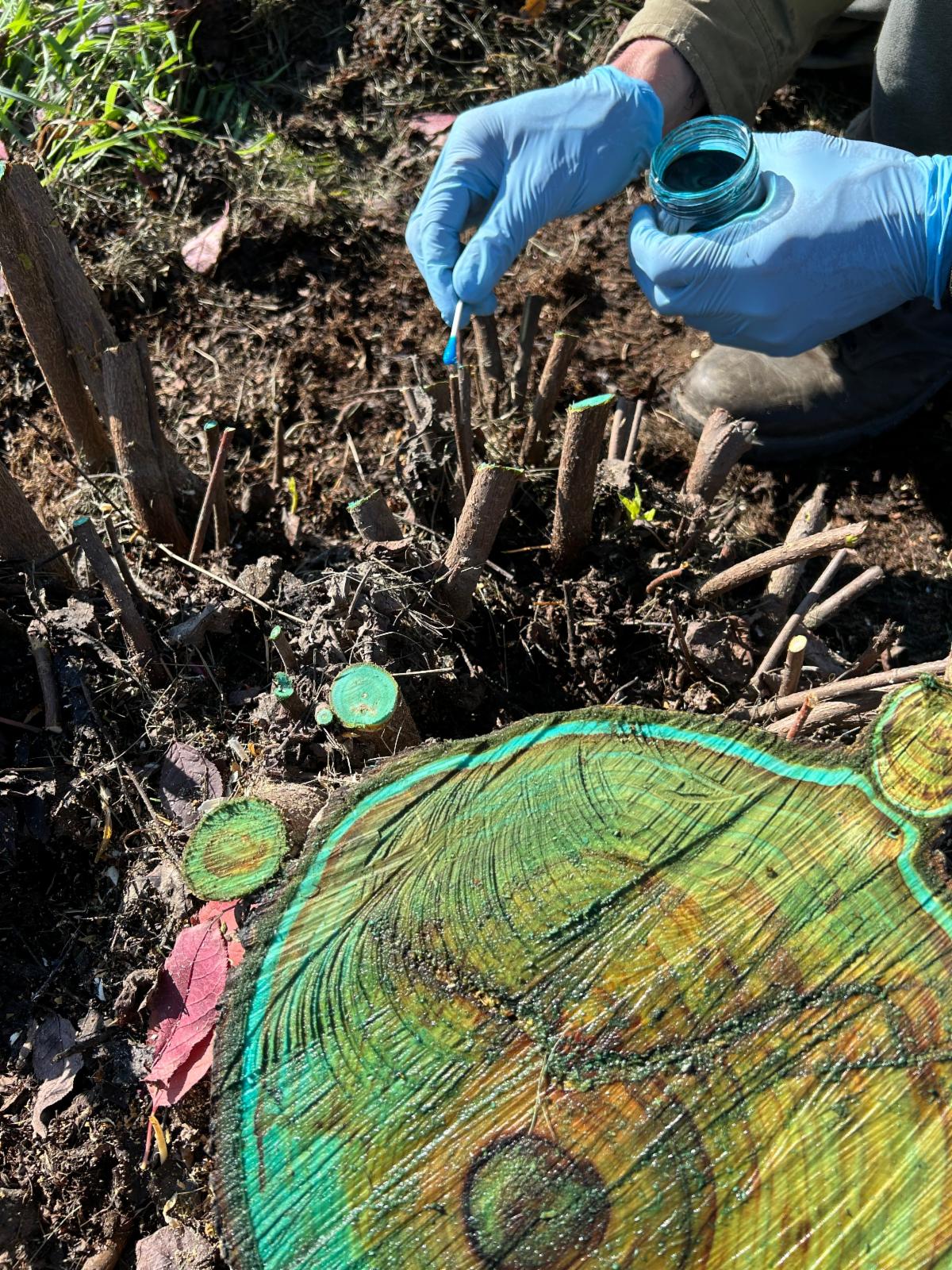 See caption below image for description