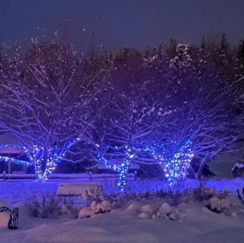 Georgeson Botanical Garden