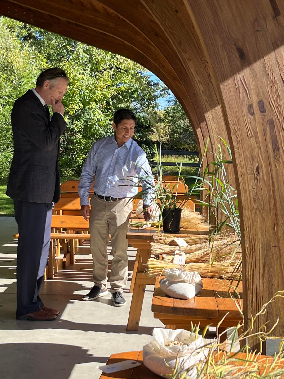 See caption below image for description