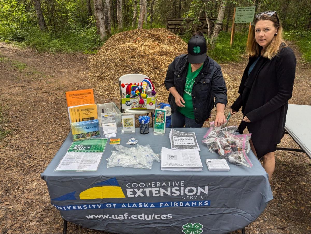 See caption below image for description