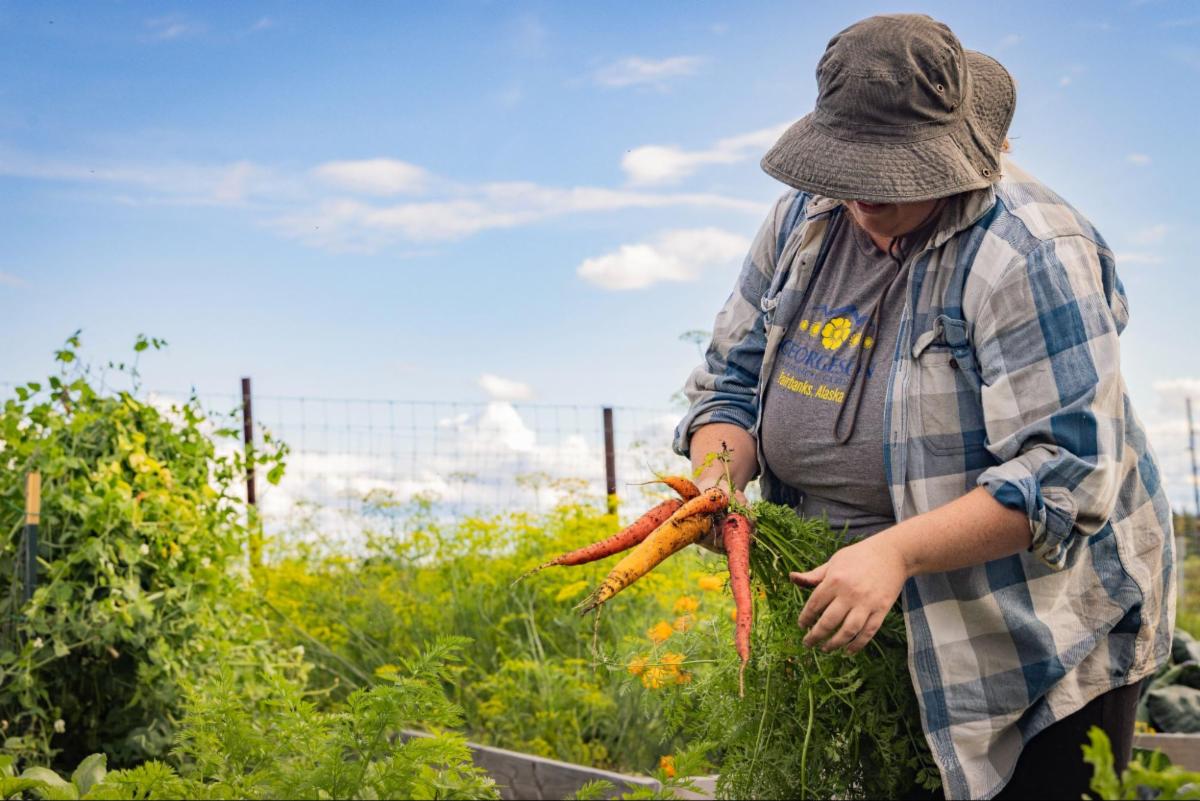 Person working in garden