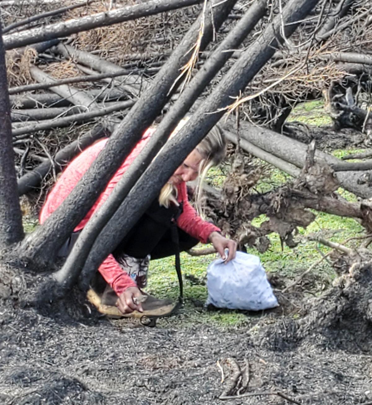 Woman picking mushrooms