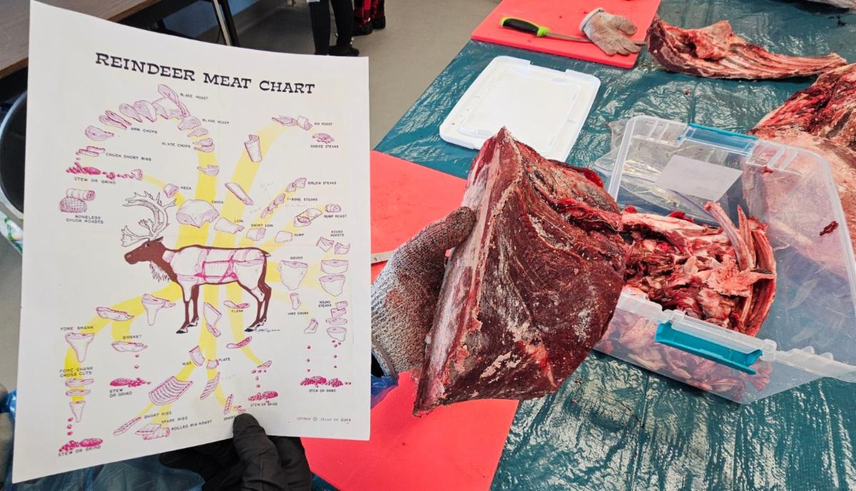 Reindeer meat chart