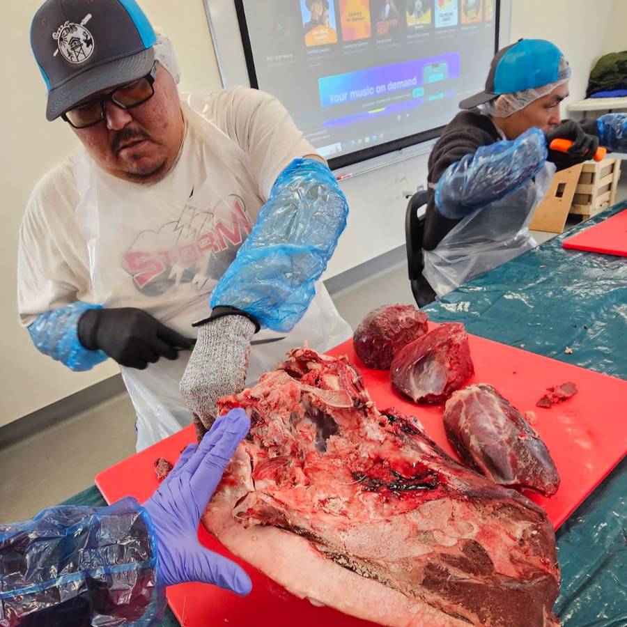 Man preparing reindeer meat