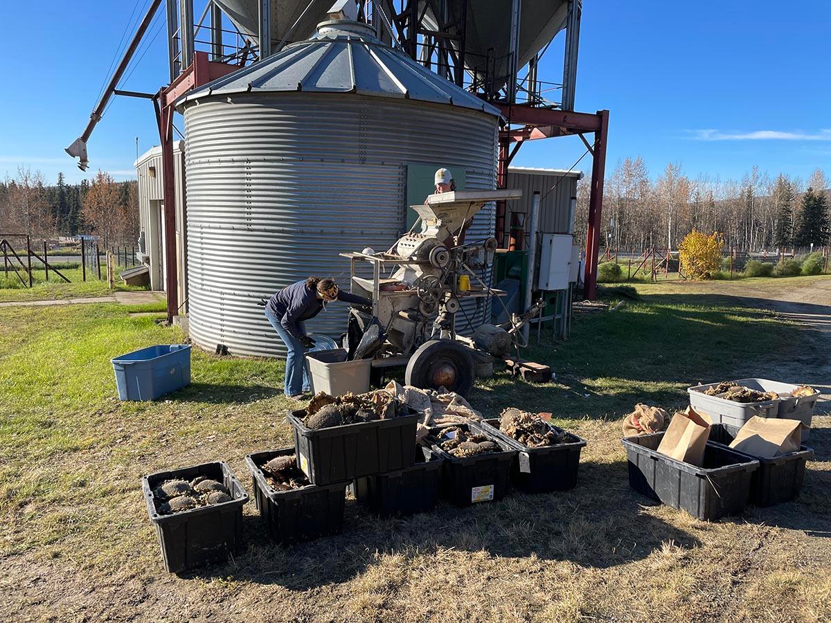 People working with garden pots