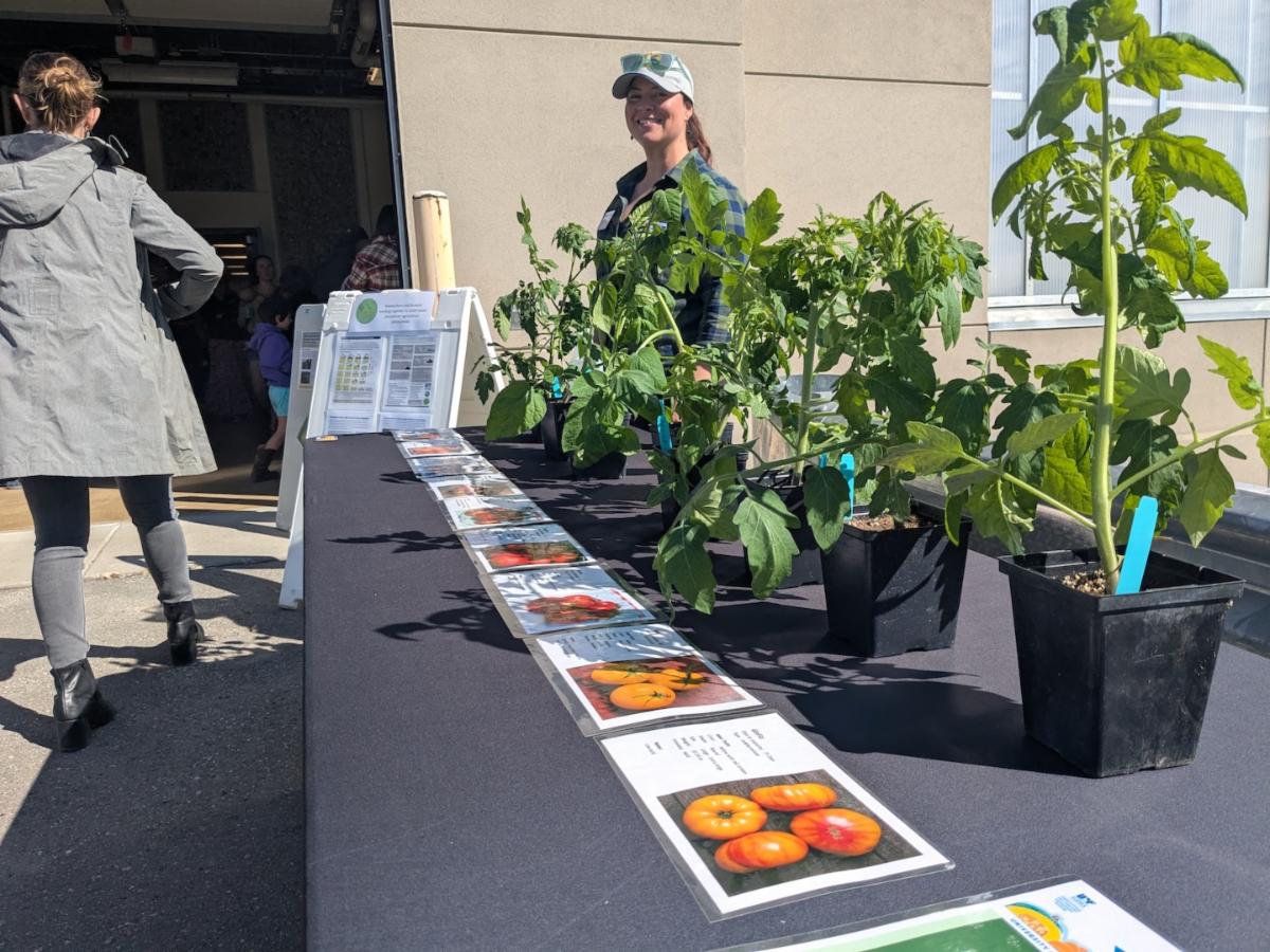 Glenna Gannon stands with nine tomato varieties