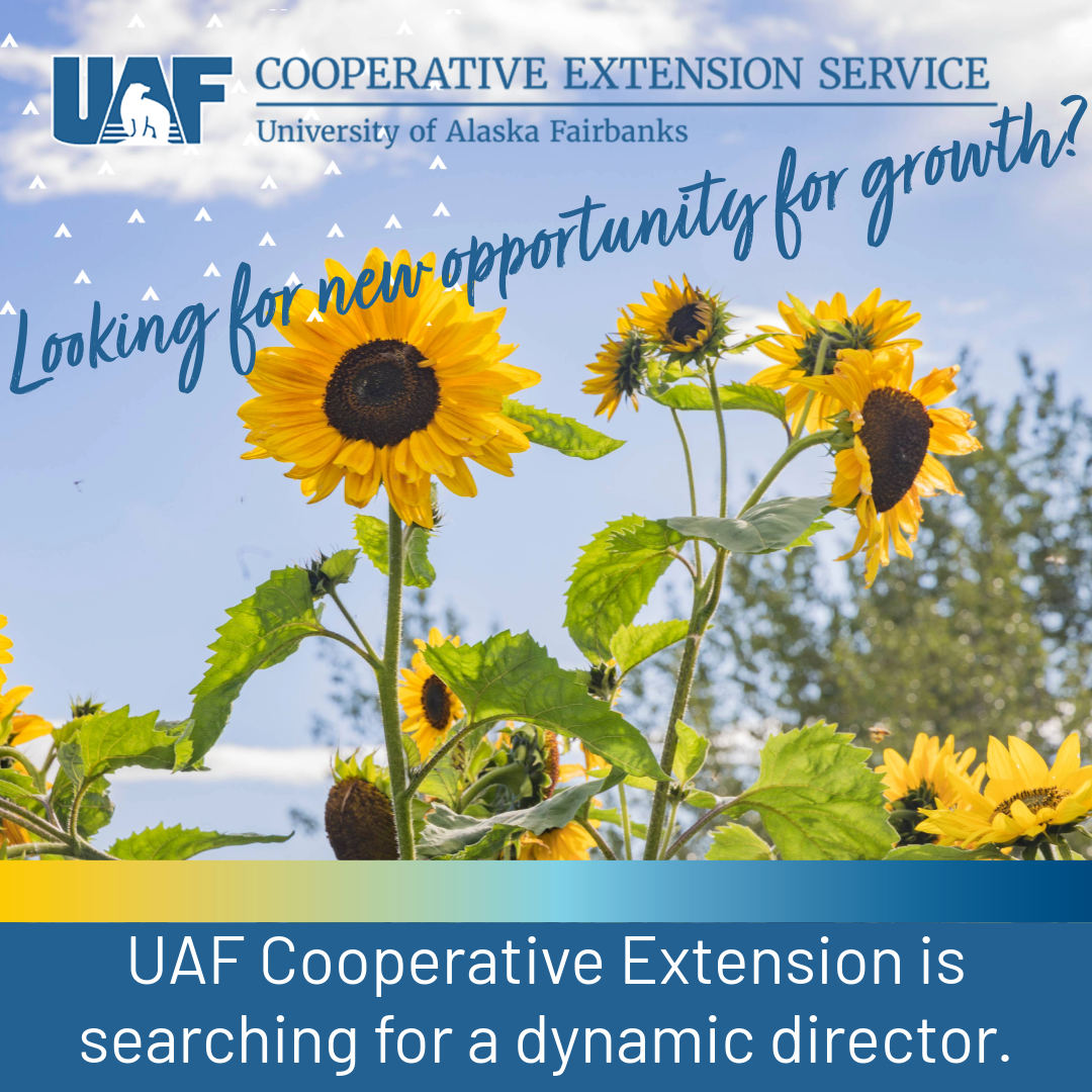 UAF Cooperative Extension Director flyer