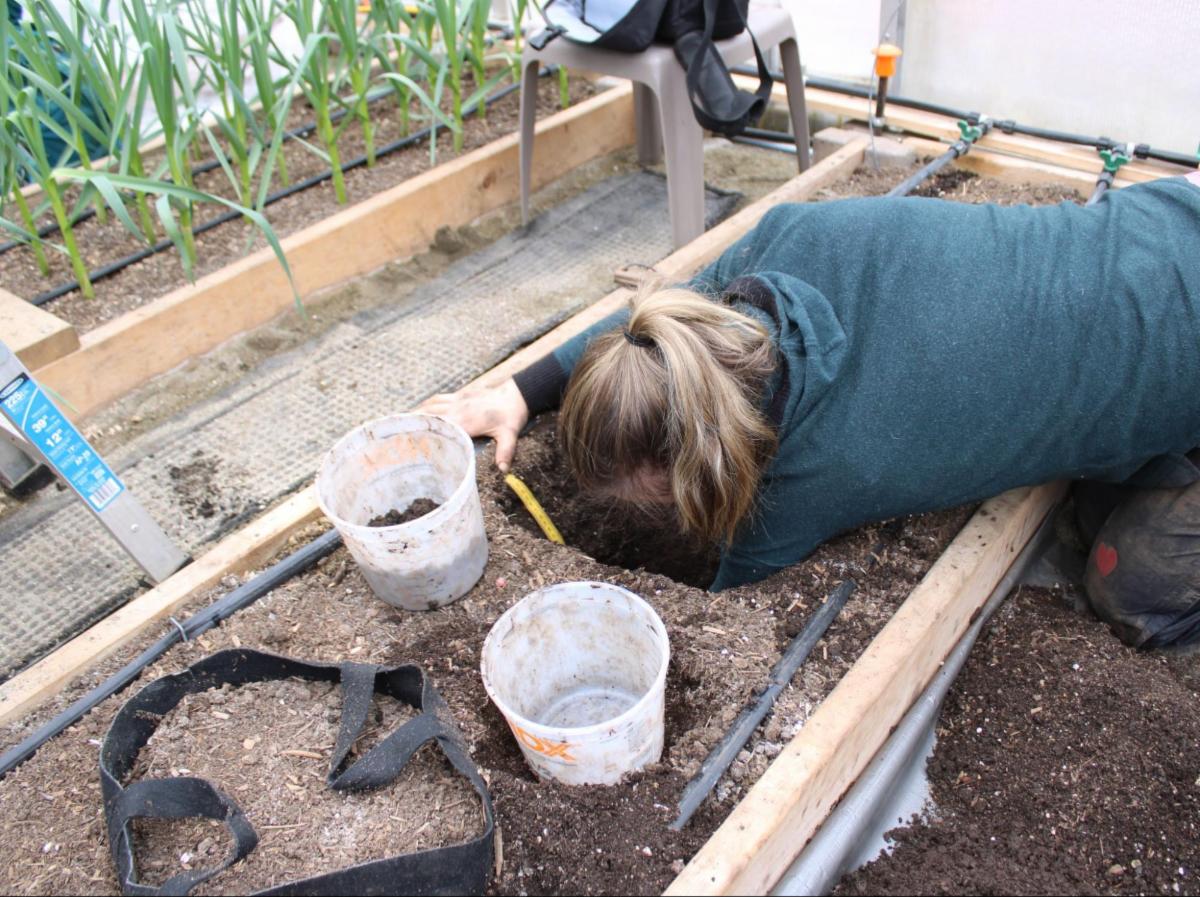 Caley Gasch collects a soil sample inside a high tunnel at a farm in Juneau