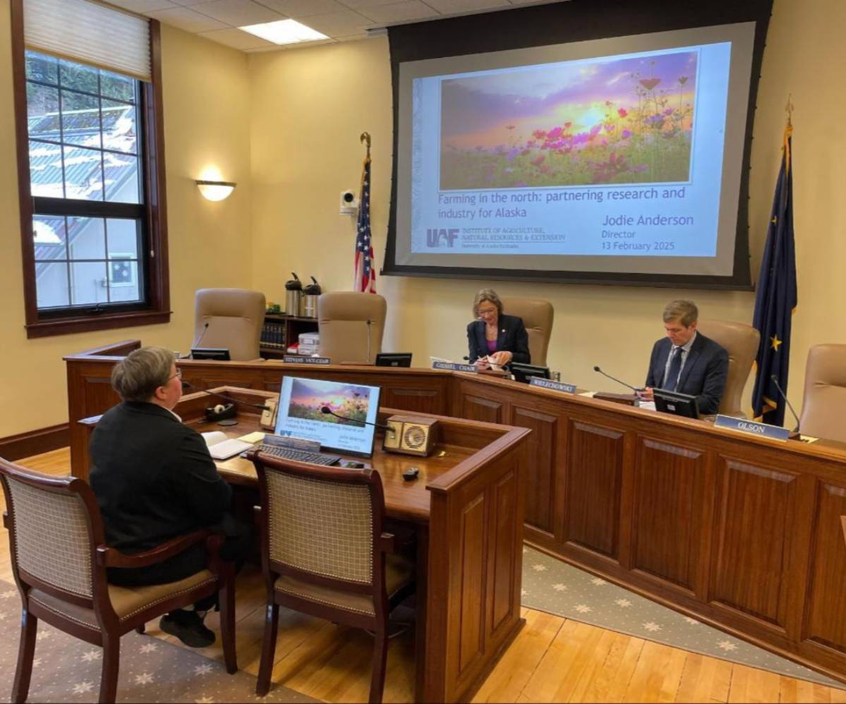 People sitting in a meeting