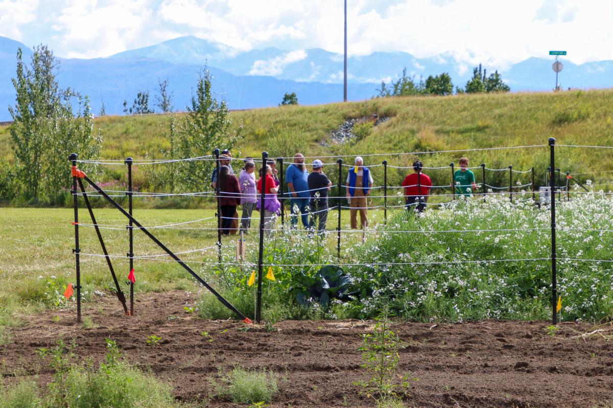 See caption below image for description