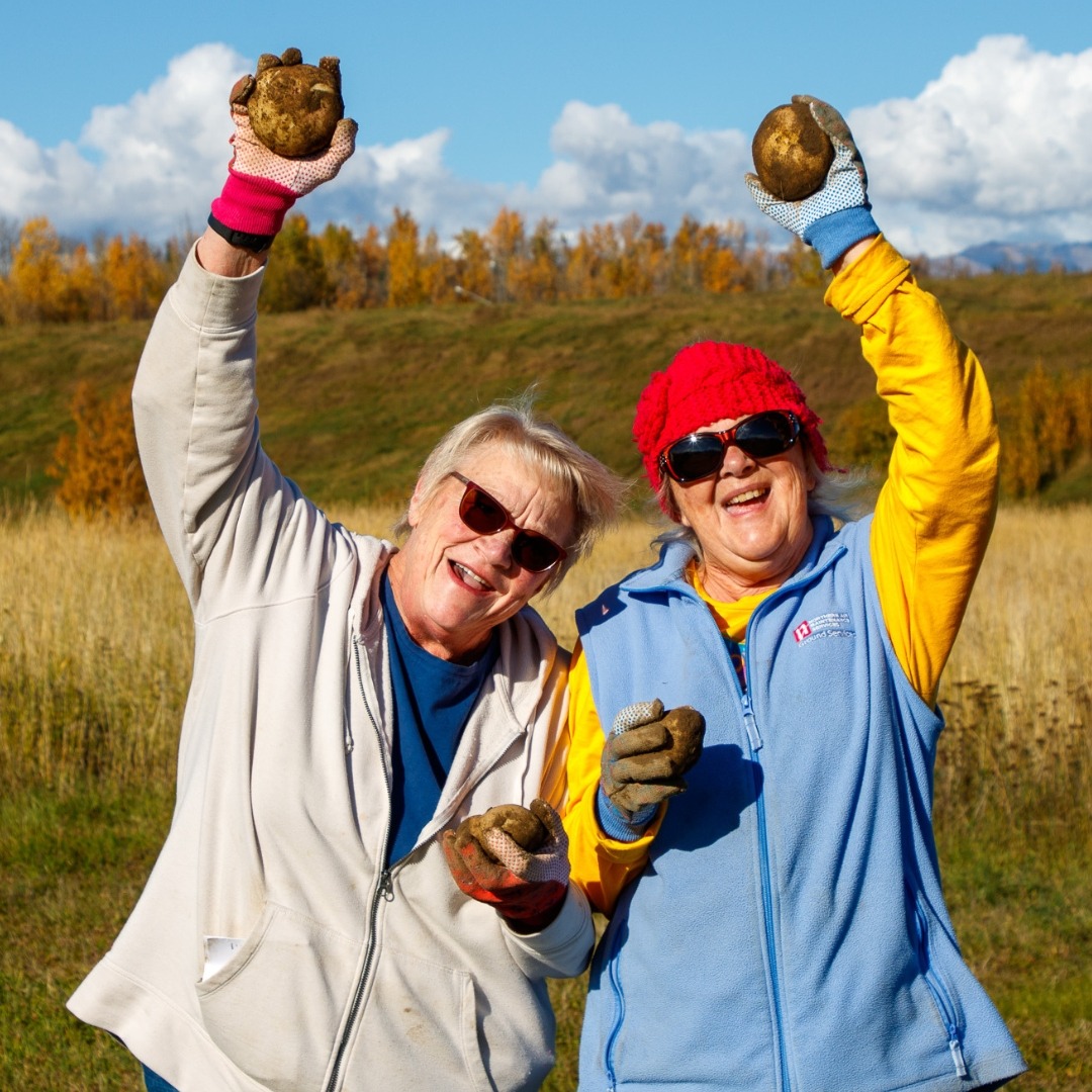 See caption below image for description