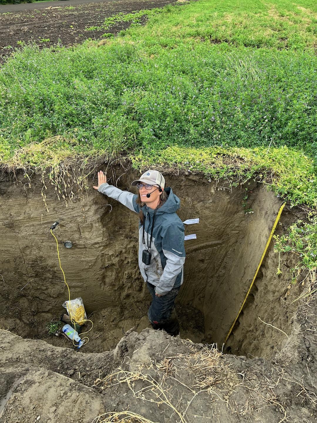 See caption below image for description