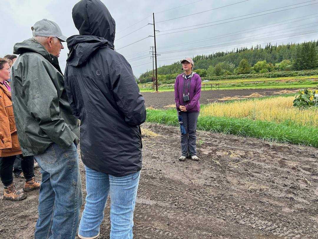 See caption below image for description