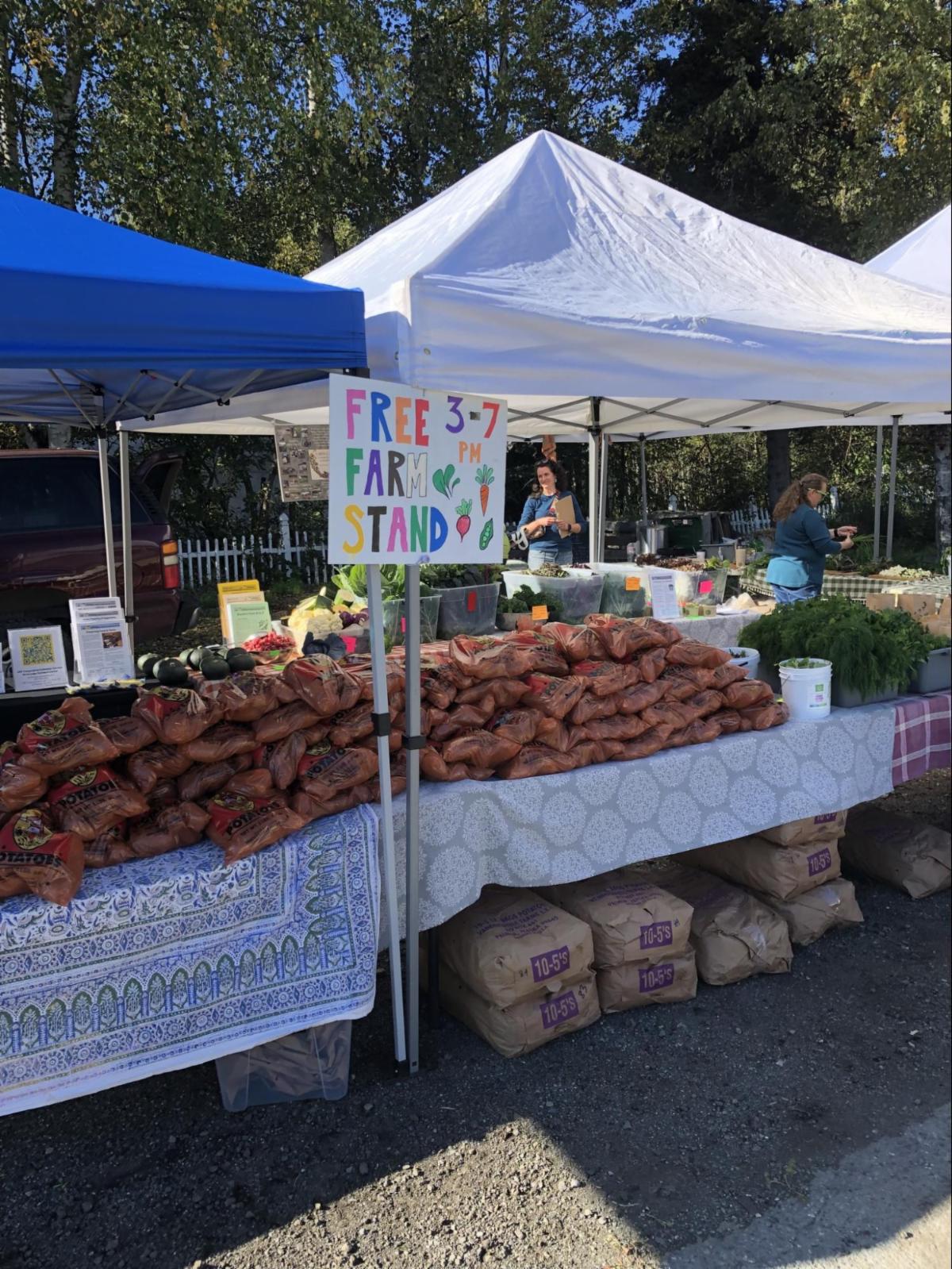 Blue and white market booths