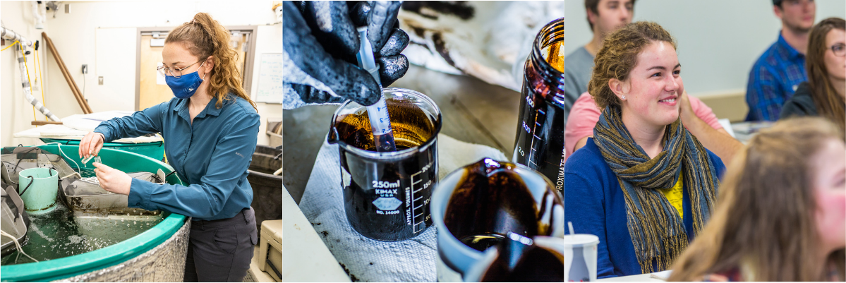three images, from left to right: a student maintaining equipment filled with water, a beaker full of crude oil being extracted, a student sits and listens in class.
