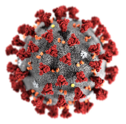 Coronavirus CDC