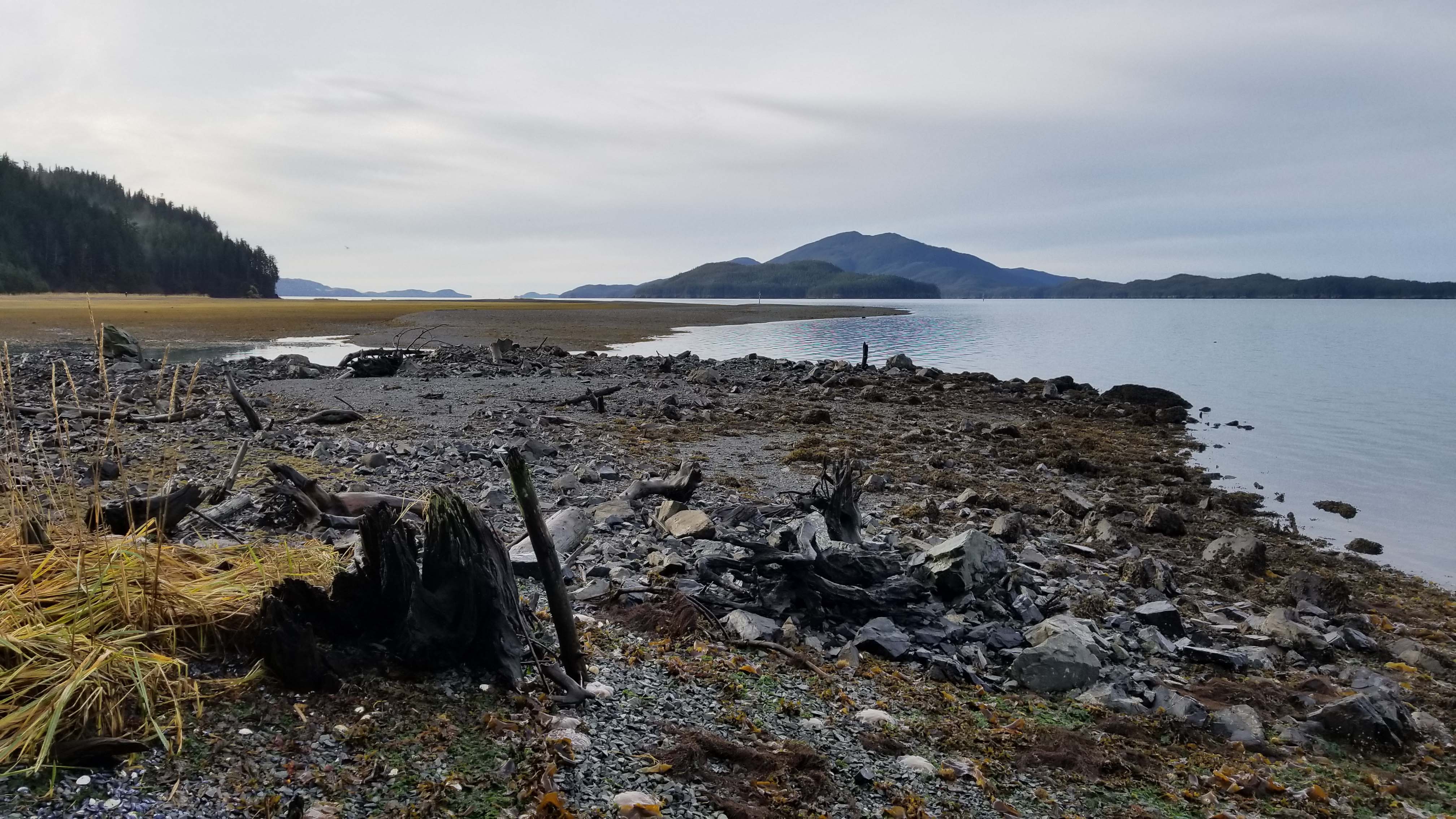 A beach near Cordova. Photo by Amanda Byrd.