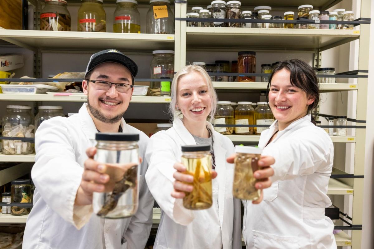 UAF BLaST undergraduate scholar Logan Ito, MS Student Sydney Almgren, and URSA undergraduate scholar Isabelle Nicolier pose with fish.