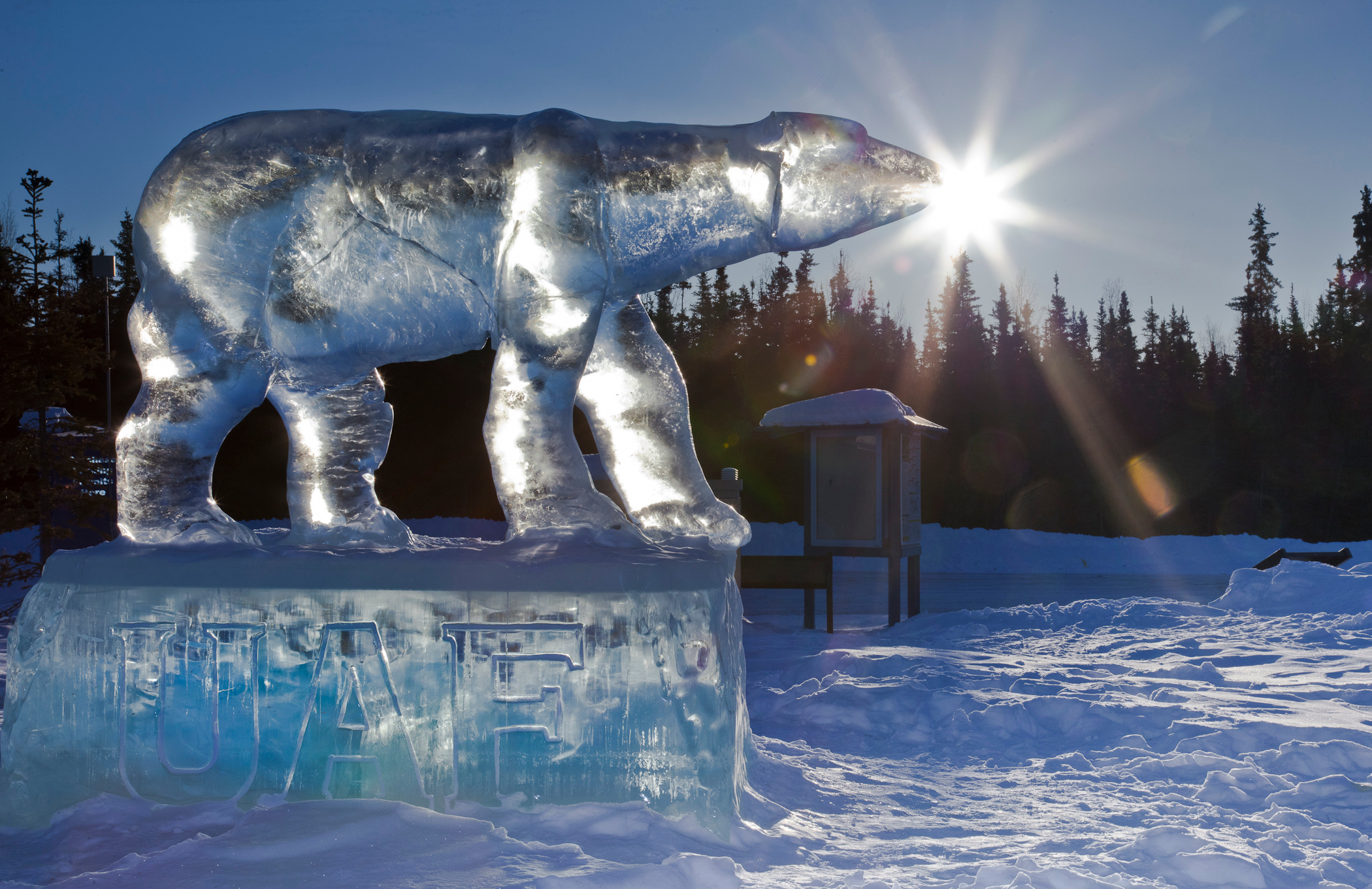 Ice carving of polar bear on campus at sunset.