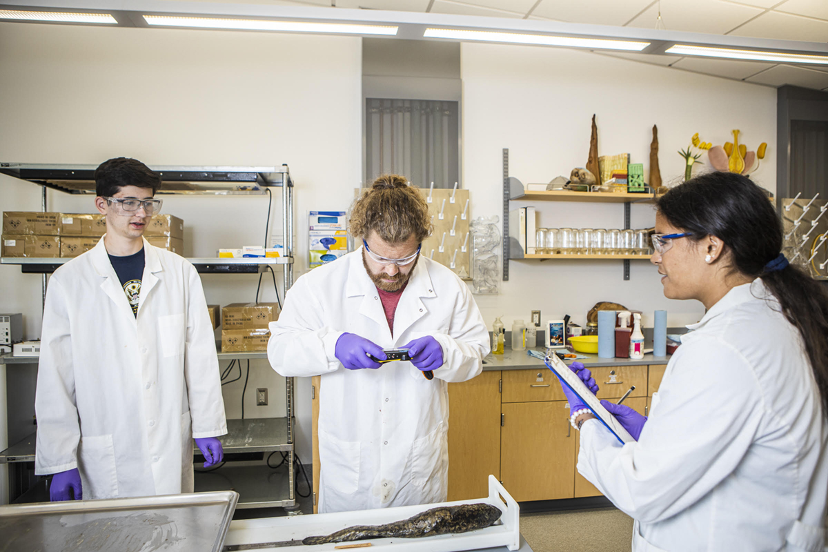 Students take notes in a science lab. UAF photo by JR Ancheta