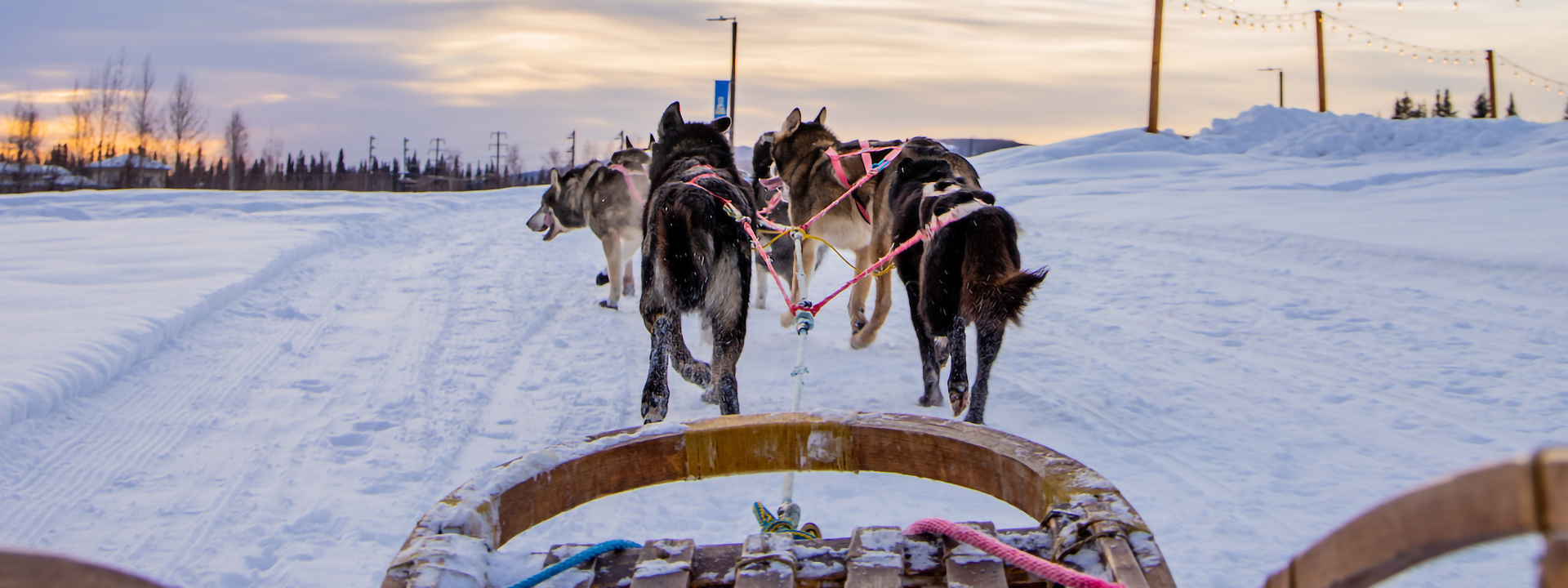 First-person view of the dog team on a sled ride during Winter Carnival outside the Student Recreation Center on February 15, 2024. Trail Breaker Kennel brought their dog teams and mushers for the eve. UAF Photo by Marina Barbosa Santos