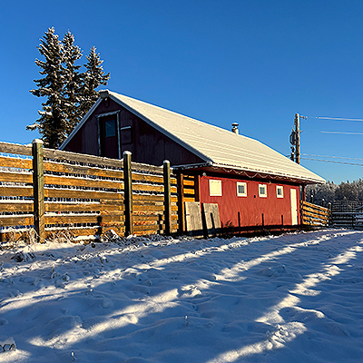 The side of the calf barn.
