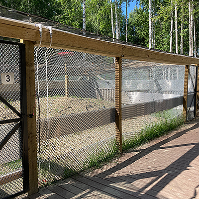 Inside view of one of the isolation pens in the Isolation Facility